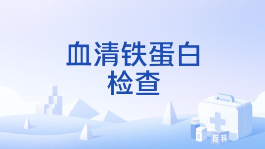 血清铁蛋白检查