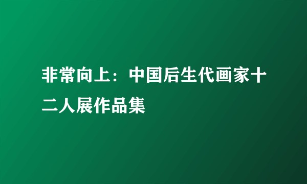 非常向上:中国后生代画家十二人展作品集