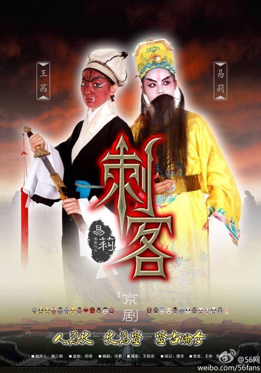 刺客(2013年易莉执导的剧情电影)