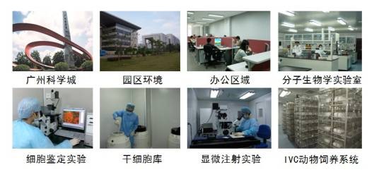 赛业（广州）生物科技有限公司