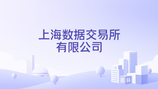 上海数据交易所有限公司