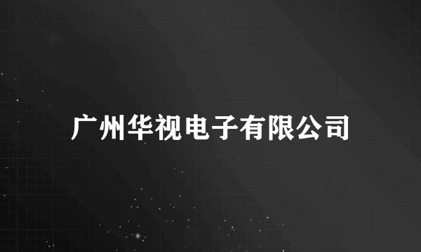 广州华视电子有限公司