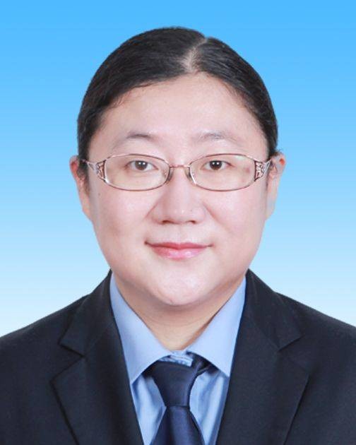 唐硕（北京市大兴区北臧村镇党委委员、组织部长、统战部长、工会主席）