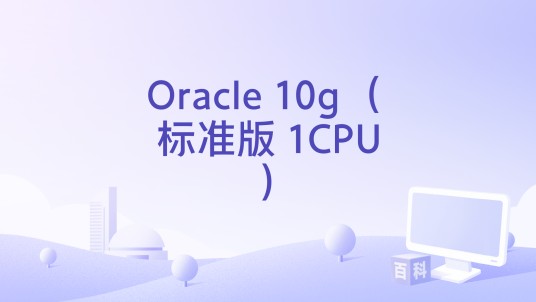 Oracle 10g （标准版 1CPU）