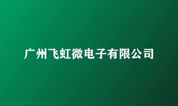 广州飞虹微电子有限公司
