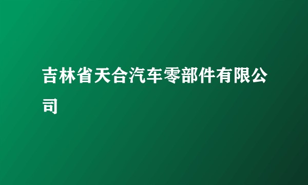 吉林省天合汽车零部件有限公司