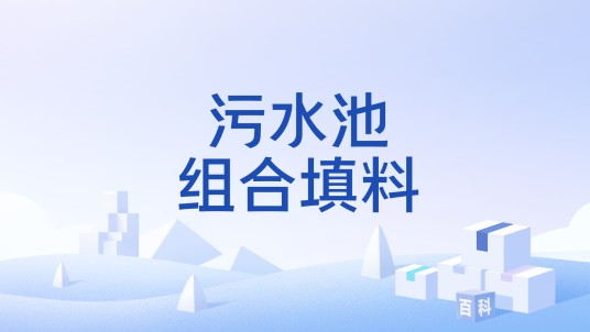 污水池组合填料