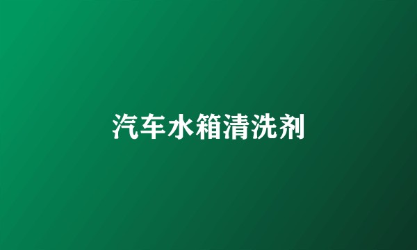 汽车水箱清洗剂