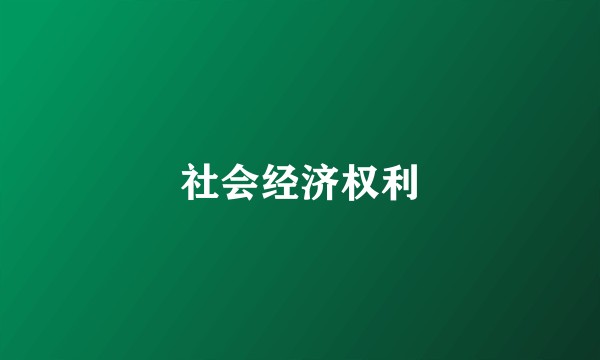 社会经济权利