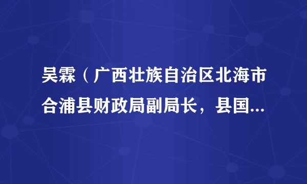 吴霖（广西壮族自治区北海市合浦县财政局副局长，县国有资产监督管理局局长）