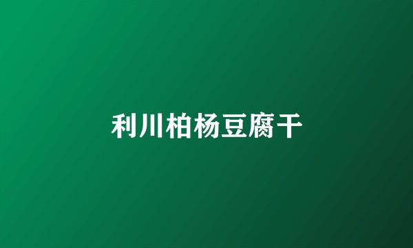 利川柏杨豆腐干