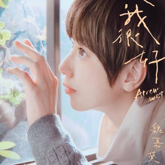 我很好(魏嘉莹演唱的歌曲)