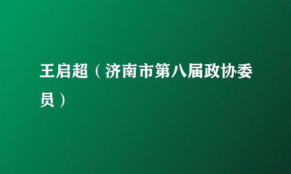 王启超（济南市第八届政协委员）