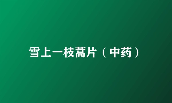 雪上一枝蒿片（中药）