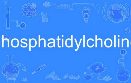 phosphatidylcholine