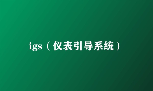igs（仪表引导系统）