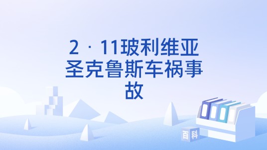 2·11玻利维亚圣克鲁斯车祸事故