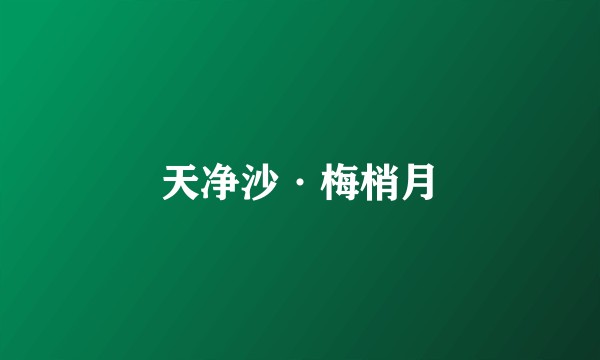 天净沙·梅梢月