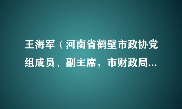 王海军（河南省鹤壁市政协党组成员、副主席，市财政局党组书记、局长）