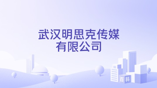 武汉明思克传媒有限公司