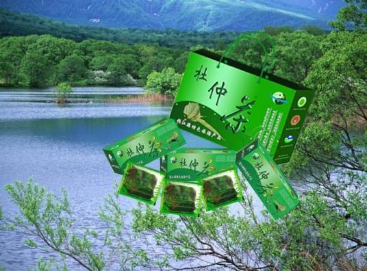 开化杜仲茶