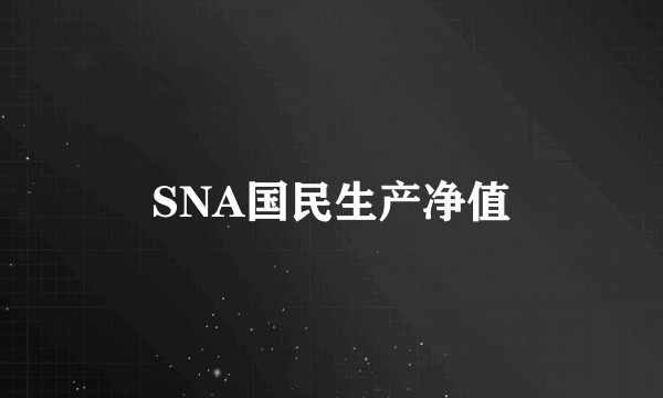 SNA国民生产净值