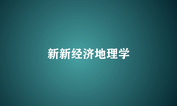 新新经济地理学