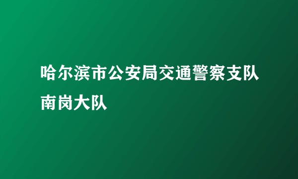 哈尔滨市公安局交通警察支队南岗大队