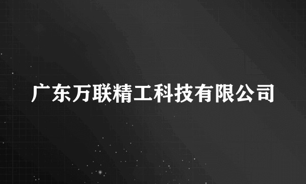 广东万联精工科技有限公司