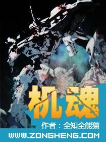 机魂（全知全能猫创作的网络小说）