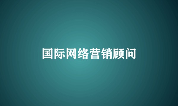 国际网络营销顾问