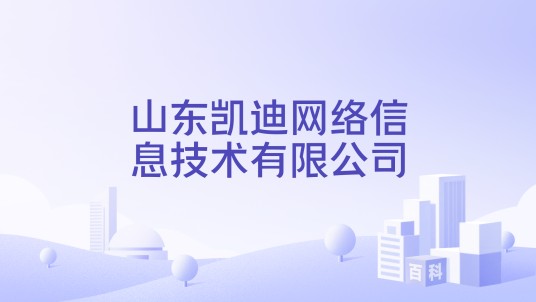 山东凯迪网络信息技术有限公司