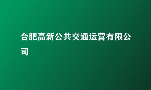 合肥高新公共交通运营有限公司