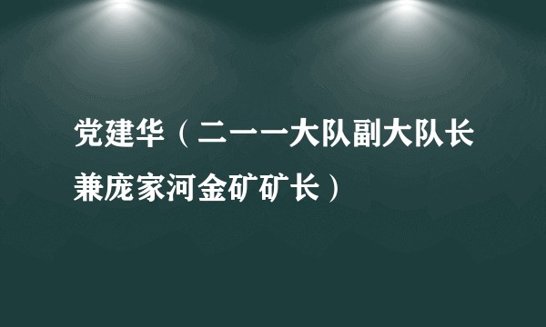 党建华(二一一大队副大队长兼庞家河金矿矿长)