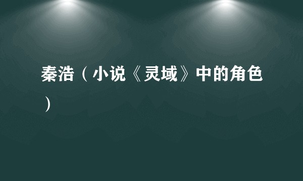 秦浩（小说《灵域》中的角色）