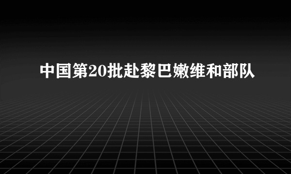 中国第20批赴黎巴嫩维和部队