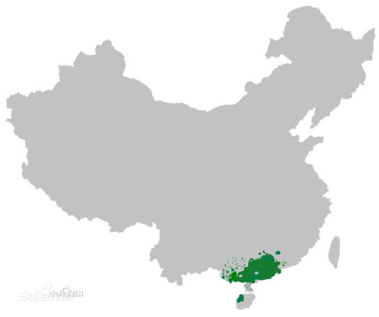 粤语（汉藏语系汉语族的一种方言）