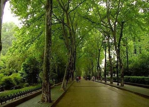 武汉理工大学马房山校区