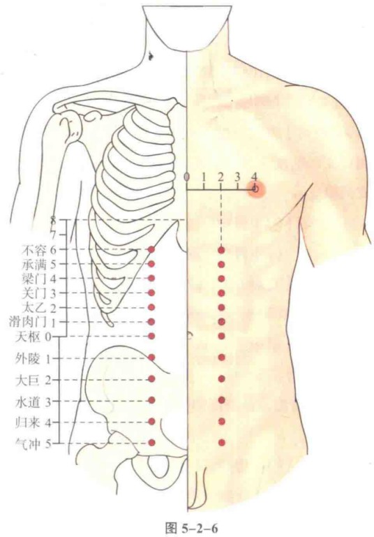 不容(中医穴位)