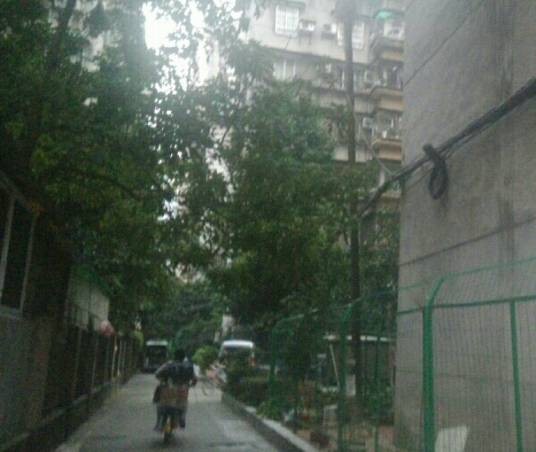 体育西路天河街