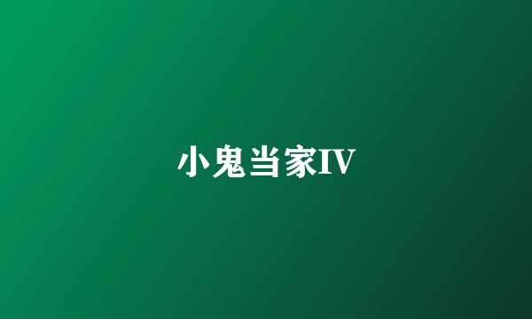 小鬼当家IV
