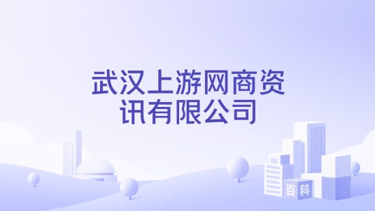 武汉上游网商资讯有限公司