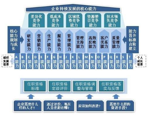 任职资格体系