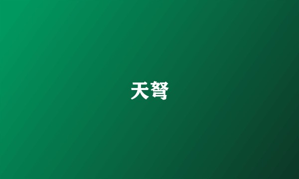 天弩