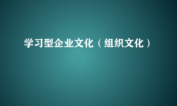 学习型企业文化（组织文化）