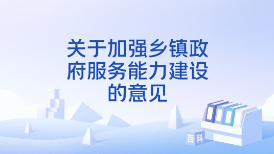 关于加强乡镇政府服务能力建设的意见