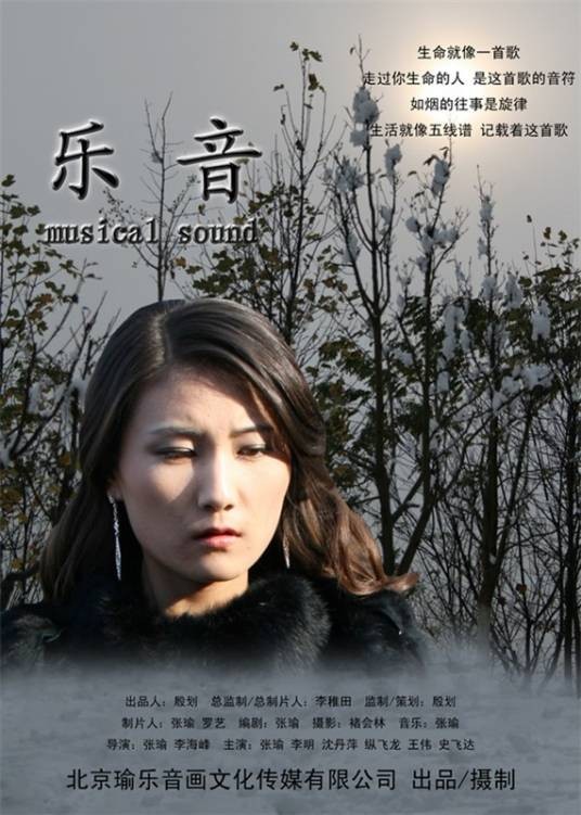 乐音（2010年张瑜执导的文艺电影）