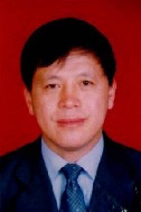 张英才(河南理工大学教授级高级工程师)