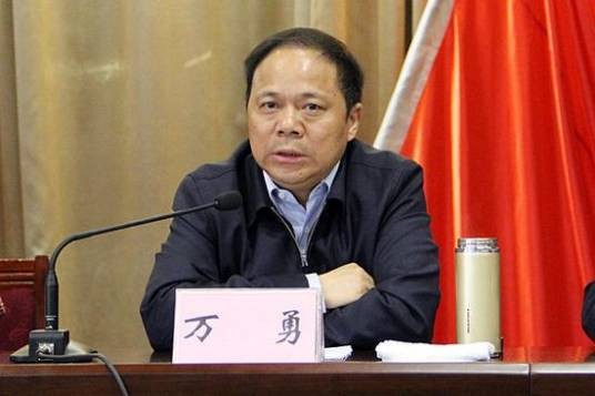 万勇（湖南省安乡县委原常委、副县长）
