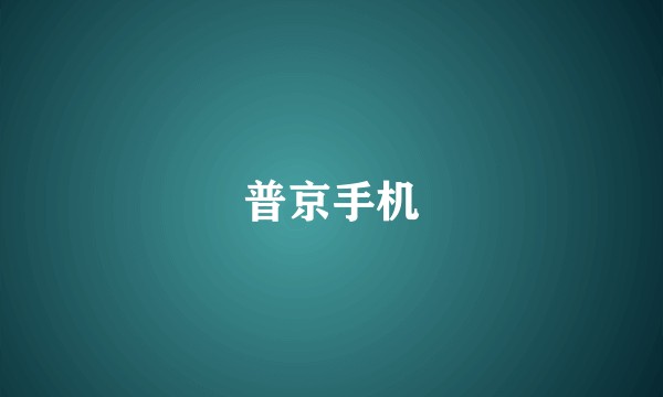 普京手机